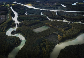 Featured image for news article: The Science Service for Biodiversity Featured in the Horizon Europe 2026 Work Programme - Here’s How to Engage