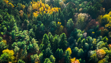 Cover image for article: BioAgora is ready to kick off