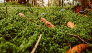 Cover image for article: BioAgora has officially been launched