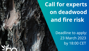 Cover image for article: Call for experts on deadwood and fire risks
