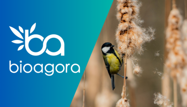 Cover image for article: BioAgora has nominated observers for the EU Biodiversity Platform