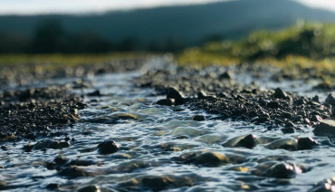 Cover image for article: Seven challenges to implementing the EU Nature Restoration Law on river ecosystems identified by researchers