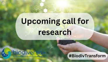 Cover image for article: Opportunity: Upcoming Biodiversa+ Call on “Biodiversity and Transformative Change – BiodivTransform”