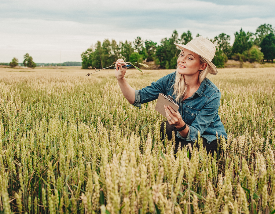 Featured image for Funding call announcement: Strengthening capacity across the science-policy-society interface