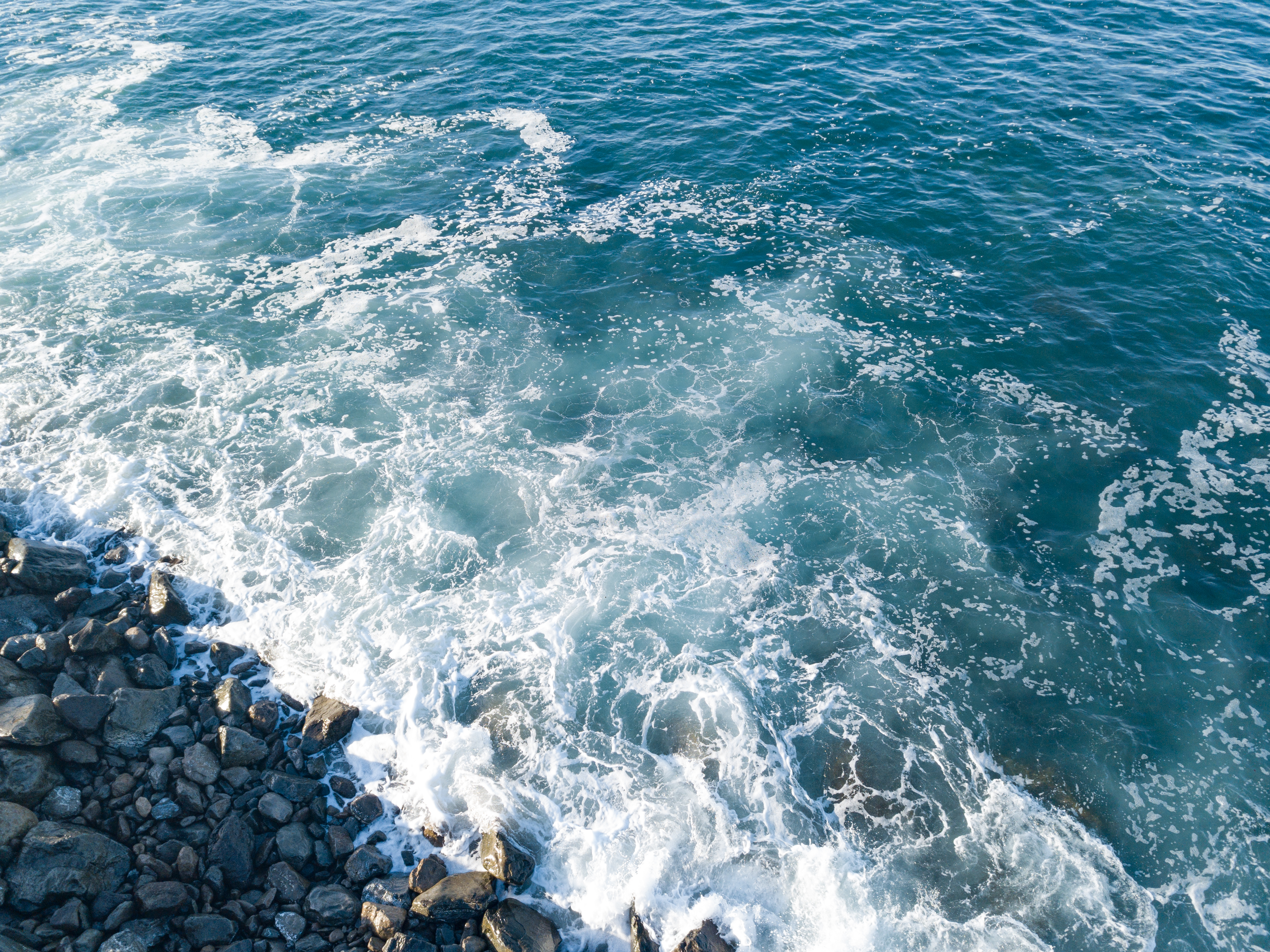 Image representing Marine Knowledge Exchange Network