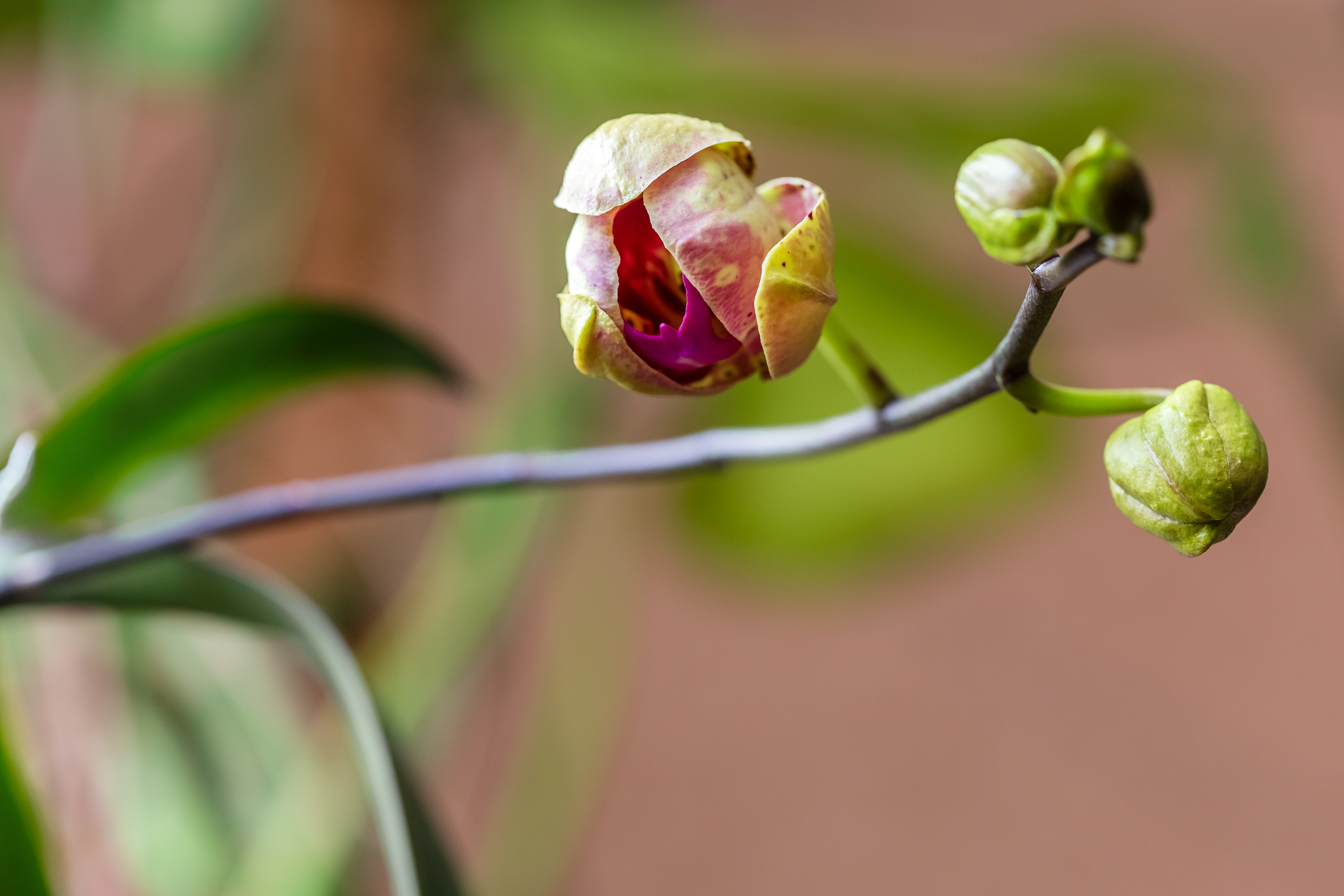 Additional image for Transformative change Knowledge Exchange Network