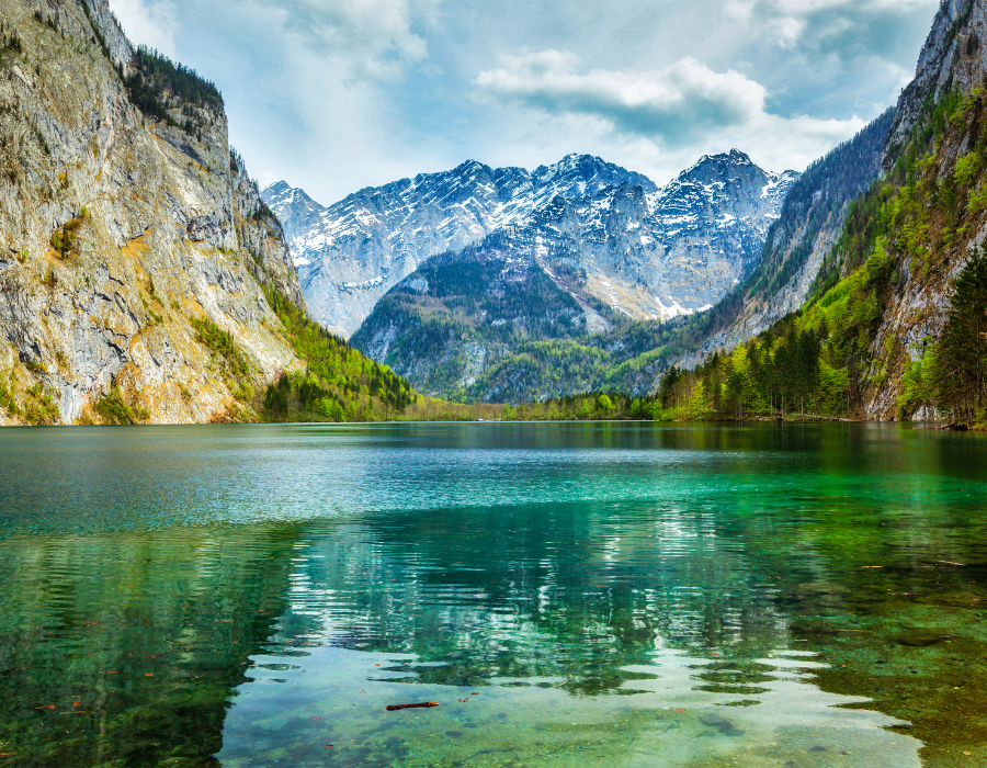 Featured image for BioAgora partners contribute to the German Biodiversity Assessment