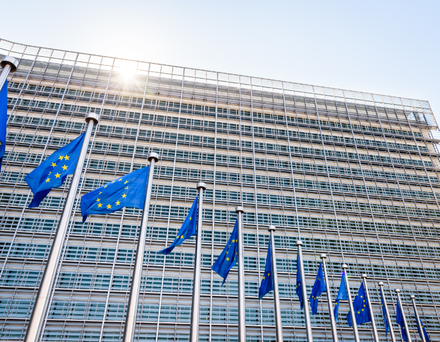 Featured image for European Commission highlights BioAgora’s cross-cutting contributions to the EU’s biodiversity science-policy landscape