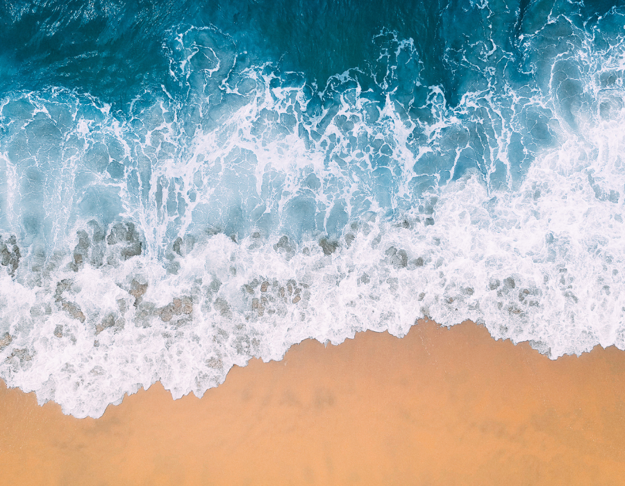 Featured image for Brochure released by BioAgora summarising some of the initial results from the project