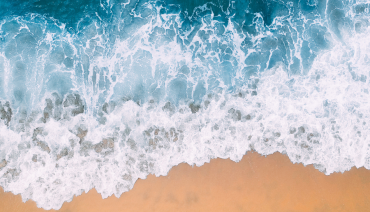 Cover image for article: Brochure released by BioAgora summarising some of the initial results from the project