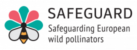 Logo for Safeguard project
