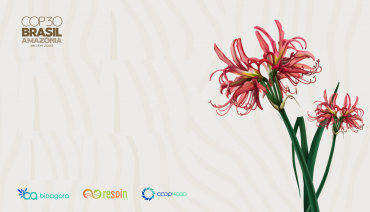 Cover image for article: BioAgora Co-organises a Side Event at UNFCCC COP30: Strengthening the Science-Policy Interface for Biodiversity and Climate