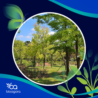 Featured image for New Handbook and Tool Recommender Support Europe’s Cities in Planning and Monitoring Urban Greening Strategies