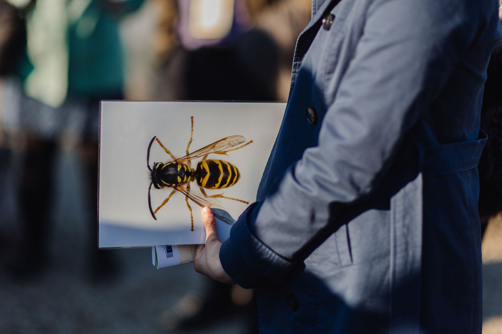 Featured image for BioAgora at Young Citizens Assembly on Pollinators: Bringing Youth Voices into EU Biodiversity Policy
