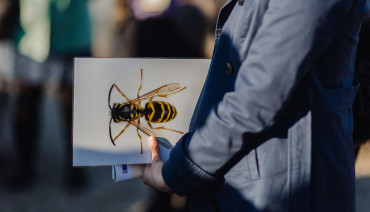 Cover image for article: BioAgora at Young Citizens Assembly on Pollinators: Bringing Youth Voices into EU Biodiversity Policy