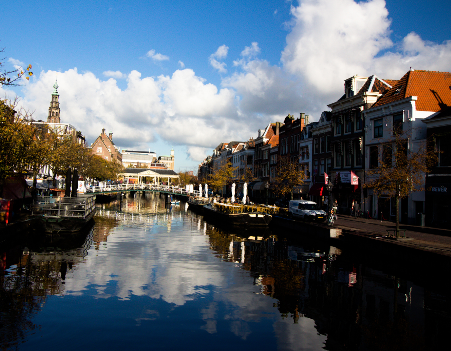 Featured image for A highlight article on the Handbook of Tools for Informing and Monitoring Urban Greening Strategies and Nature Plans by the University of Leiden