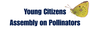 Logo for Young Citizens Assembly on Pollinators (YCAP) project
