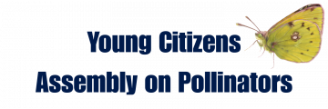 Logo for Young Citizens Assembly on Pollinators (YCAP) project