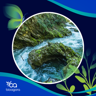 Cover image for publication: Challenges and opportunities in restoring European free-flowing rivers