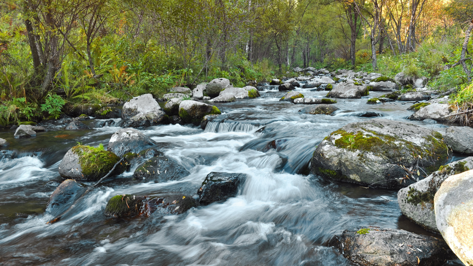 Featured image for BioAgora’s contribution to the freshwater science-policy interface highlighted in new paper