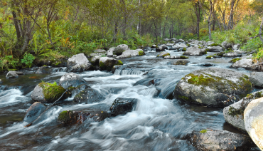 Cover image for BioAgora’s contribution to the freshwater science-policy interface highlighted in new paper