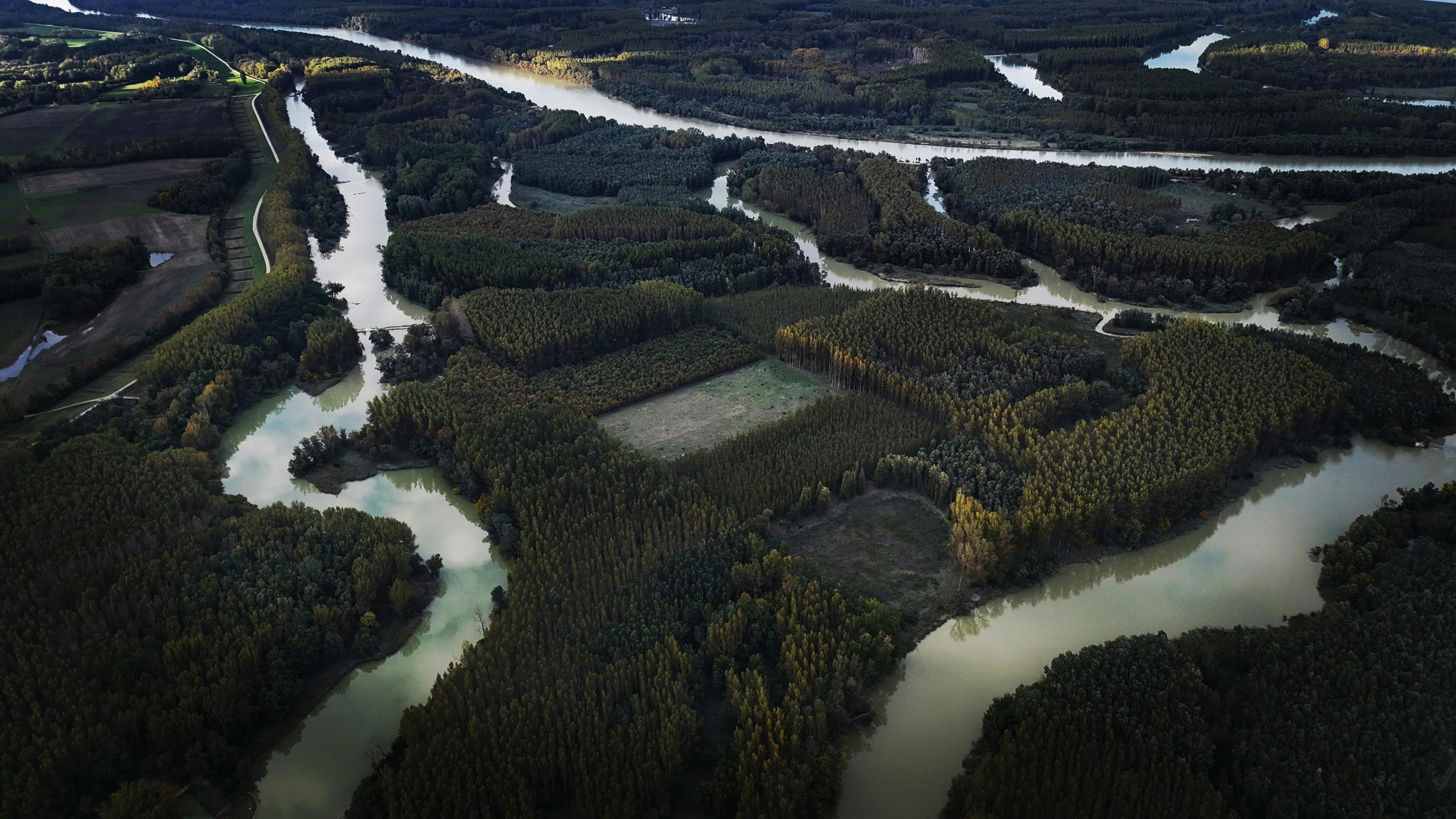 Featured image for The Science Service for Biodiversity Featured in the Horizon Europe 2026 Work Programme - Here’s How to Engage