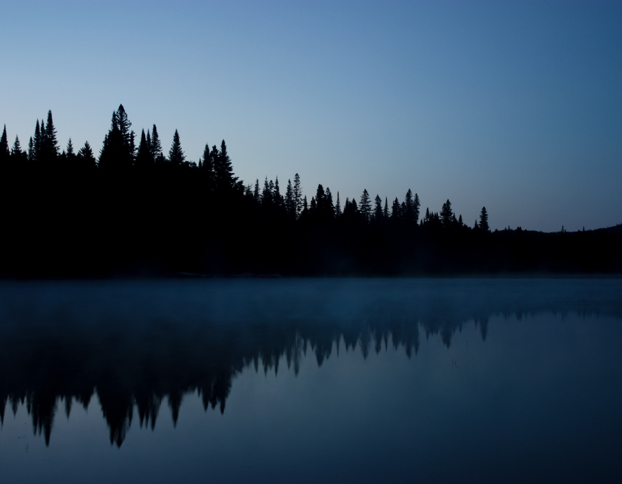 Featured image for Life after dark: The night shift of nature discussed in paper co-authored by BioAgora