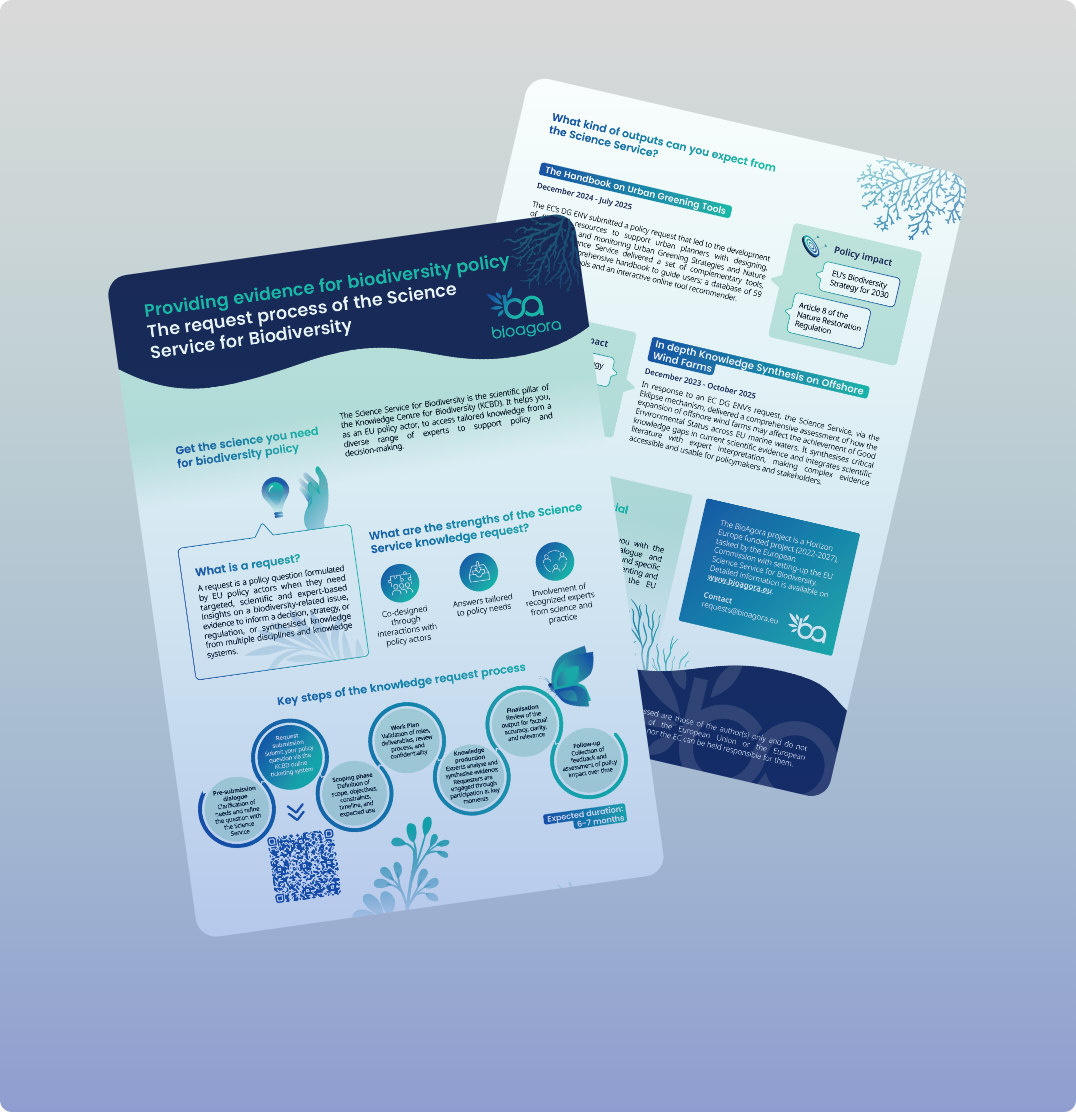 Preview image for Factsheet on Knowledge Request Process promotional material