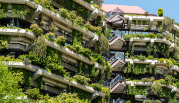 Cover image for Report on green roofs and walls facilitated by BioAgora highlighted by Grist media outlet