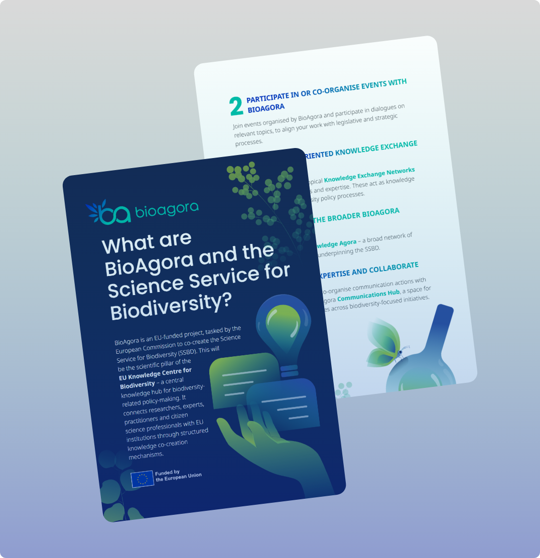 Preview image for Infosheet promotional material
