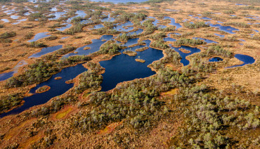 Cover image for New knowledge synthesis supports the restoration of Europe’s peatlands and coastal lagoons