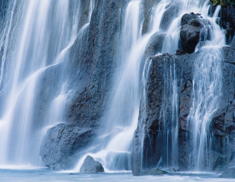 Featured image for BioAgora contributing to research on greater ecosystem resilience in Europe