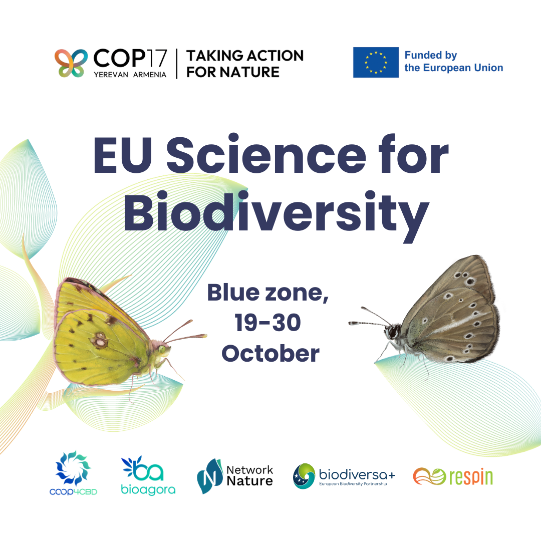Featured image for EU Science for Biodiversity at COP17: five European initiatives join forces in Yerevan