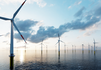 Featured image for news article: The expansion of offshore wind farming: New report on knowledge request to the Science Service for Biodiversity now available