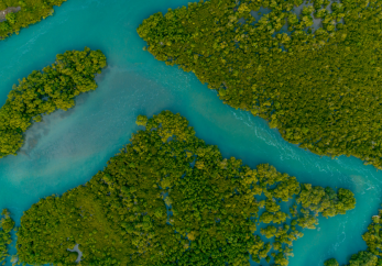 Featured image for news article: New paper co-authored by BioAgora rethinks river restoration in Europe