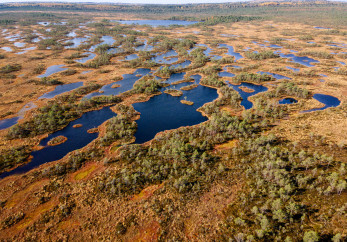Featured image for news article: New knowledge synthesis supports the restoration of Europe’s peatlands and coastal lagoons